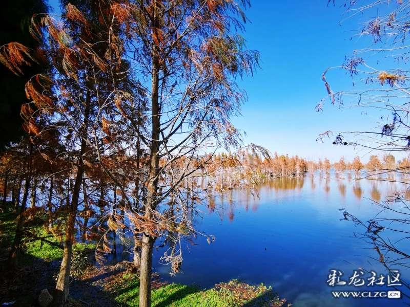 牛身上没人要的部位，看看农村妈妈什么吃法，10块钱买12斤真划算